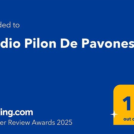 Studio Pilon De Pavones Exterior foto
