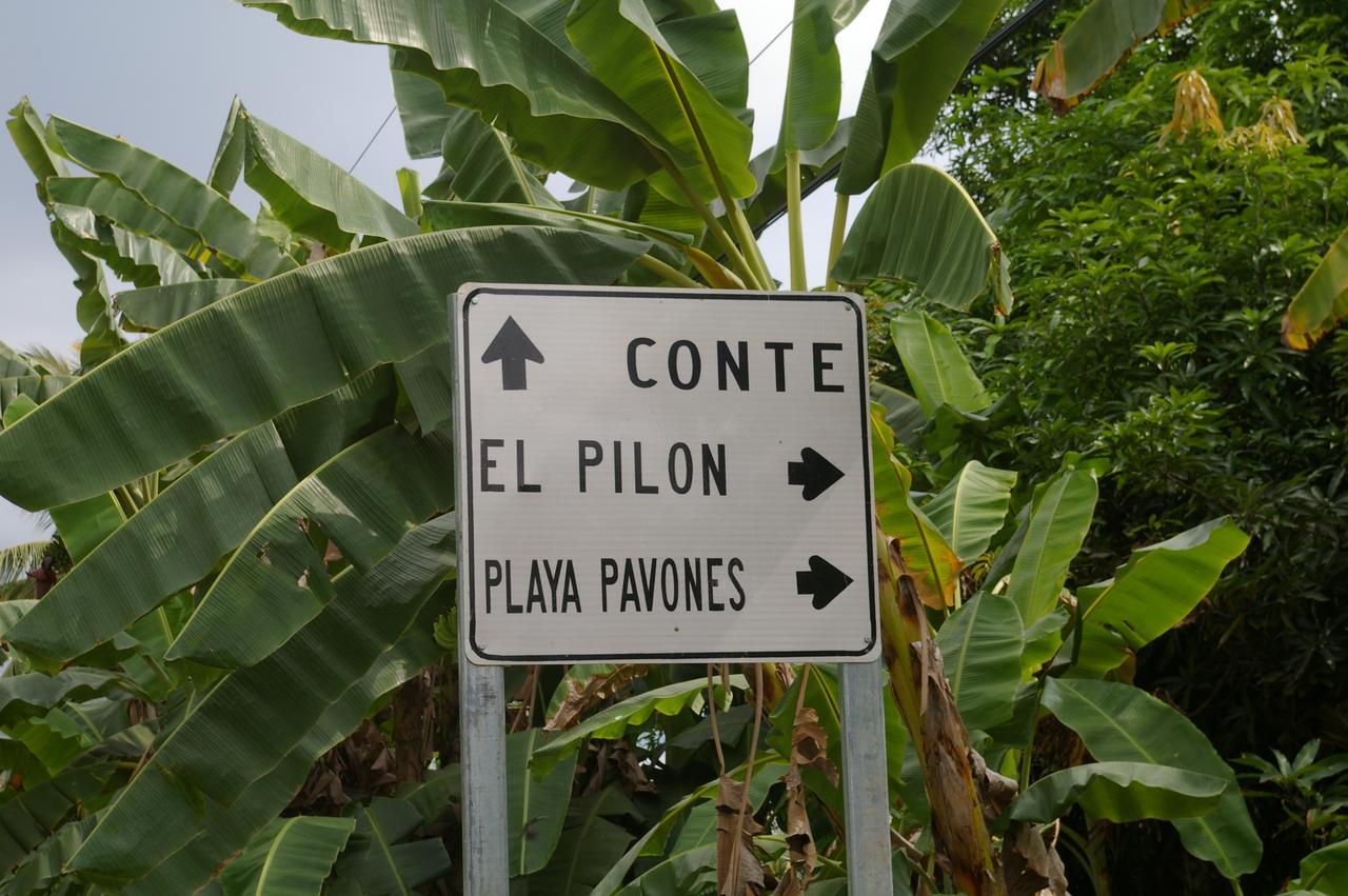 Studio Pilon De Pavones Exterior foto
